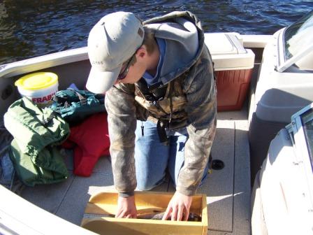 Fish Measurement Board